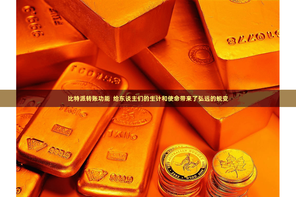 比特派转账功能  给东谈主们的生计和使命带来了弘远的蜕变